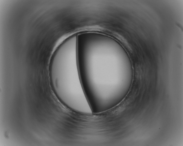 X0000097861176200803140850