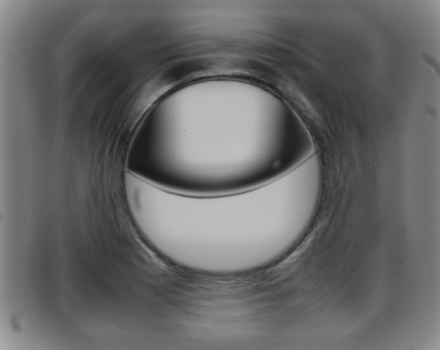 X0000097861177200803140850