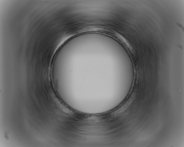 X0000097861178200803140850