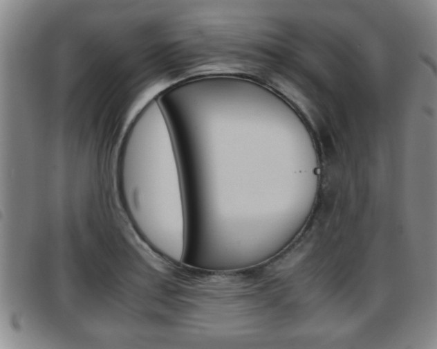 X0000097861179200803140850