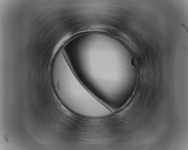 X0000097861180200803140849