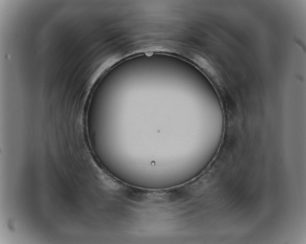 X0000097861181200803140849