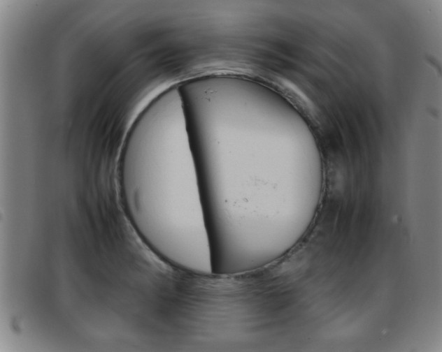 X0000097861182200803140849