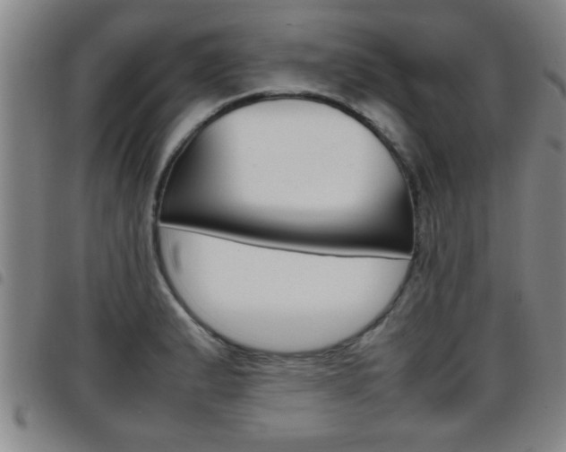 X0000097861183200803140849