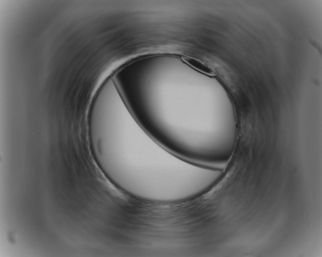 X0000097861184200803140849