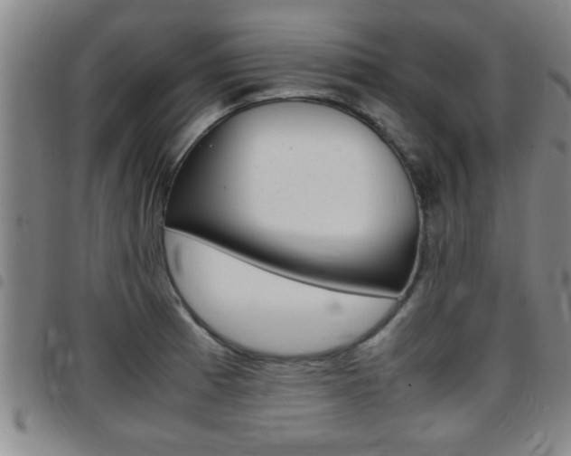 X0000097861185200803140849
