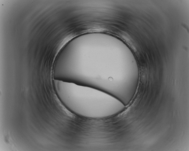 X0000097861186200803140849