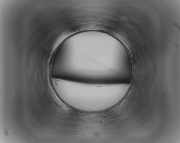 X0000097861187200803140849