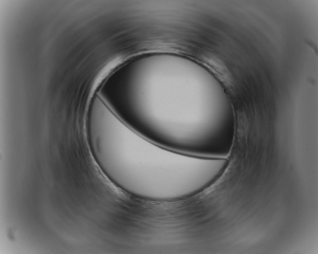 X0000097861188200803140849