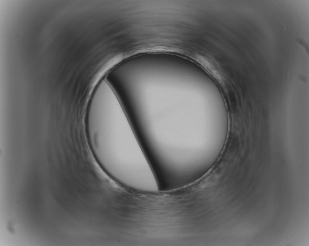 X0000097861189200803140849