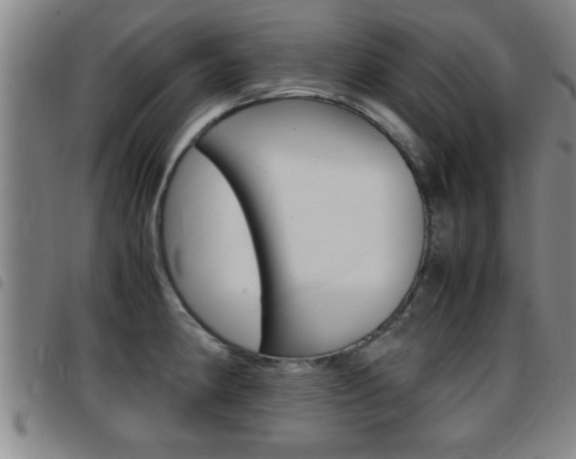 X0000097861190200803140849