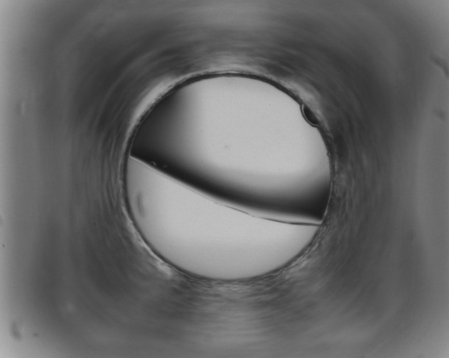 X0000097861191200803140849