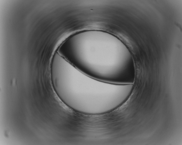 X0000097861192200803140849