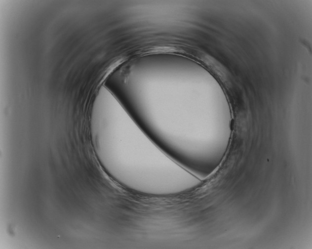 X0000097861193200803140849