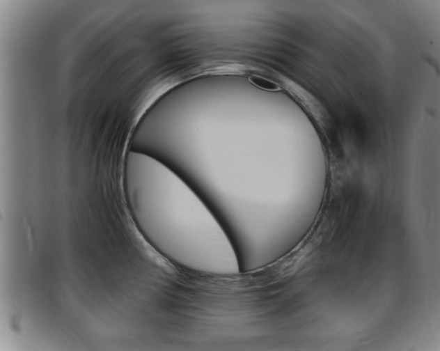 X0000097861194200803140849