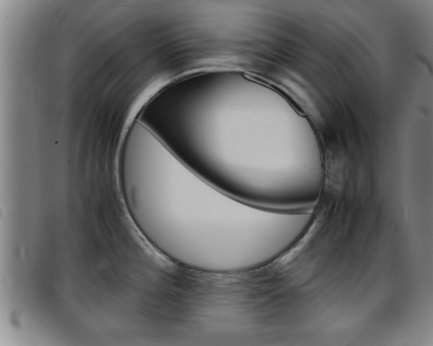 X0000097861196200803140849