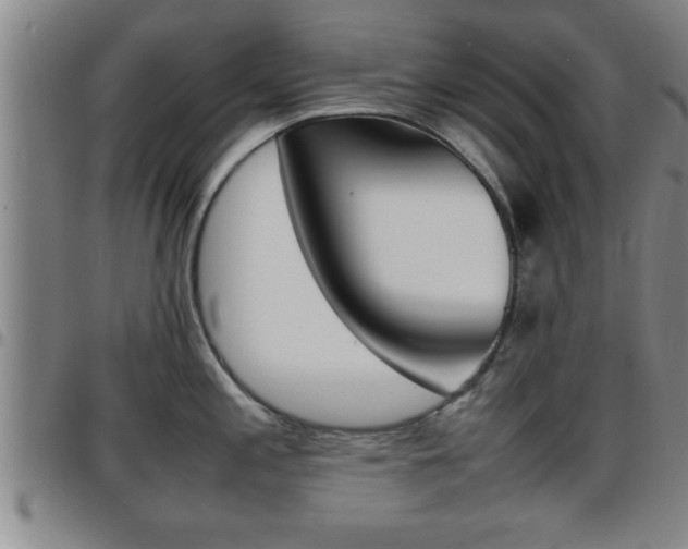 X0000097861197200803140849