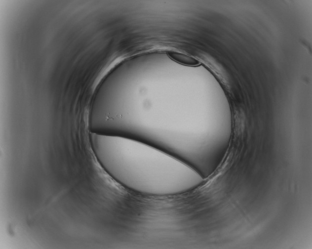 X0000097861198200803140849