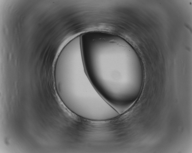 X0000097861200200803140849