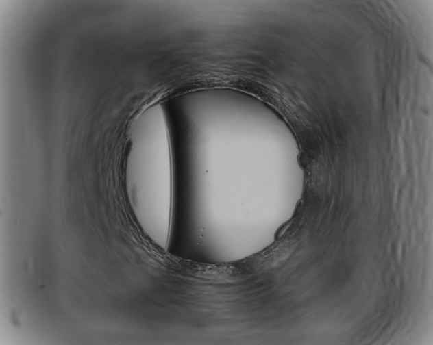 X0000097861201200803140848