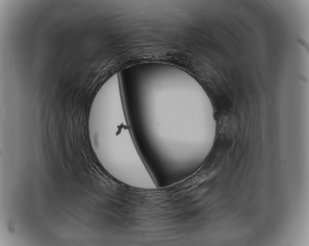 X0000097861202200803140848