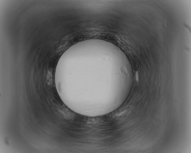 X0000097861203200803140848