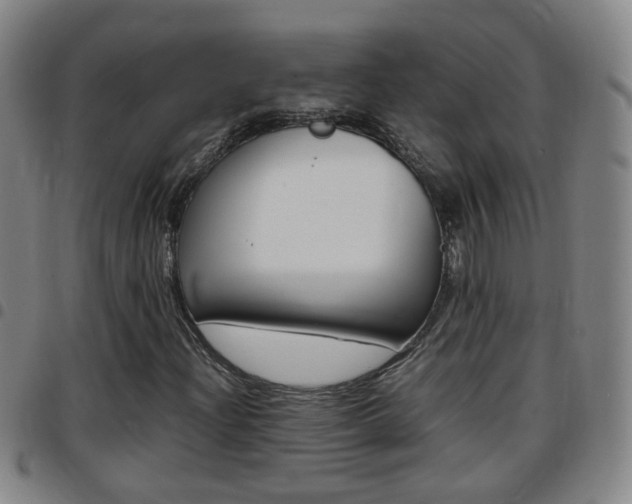 X0000097861204200803140848