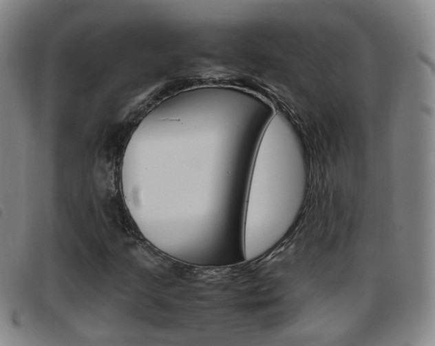 X0000097861205200803140848