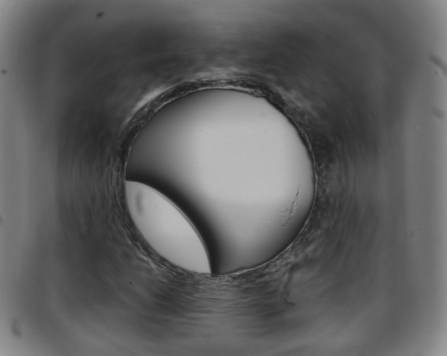 X0000097861206200803140848