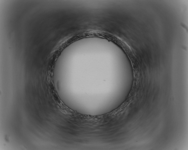 X0000097861207200803140848