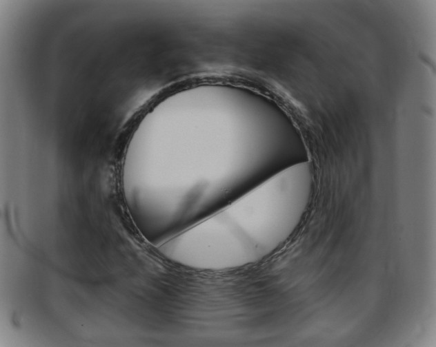 X0000097861208200803140848
