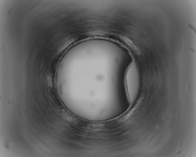 X0000097861209200803140848