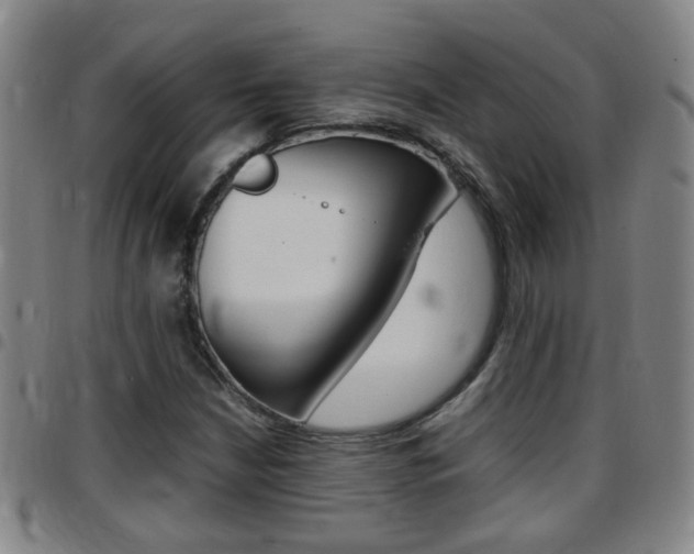 X0000097861210200803140848