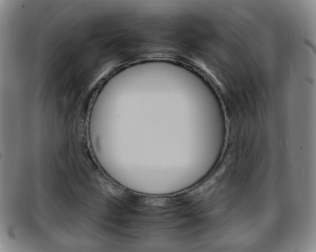 X0000097861211200803140848
