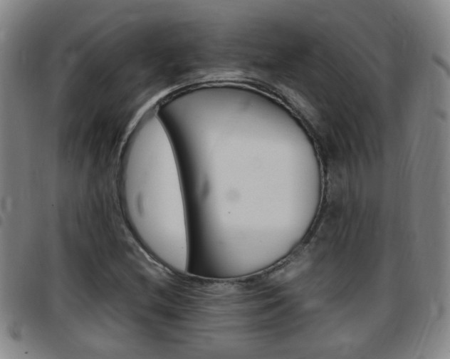 X0000097861212200803140848