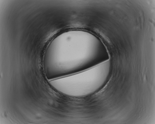 X0000097861213200803140849