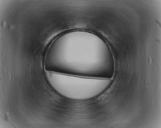 X0000097861214200803140849