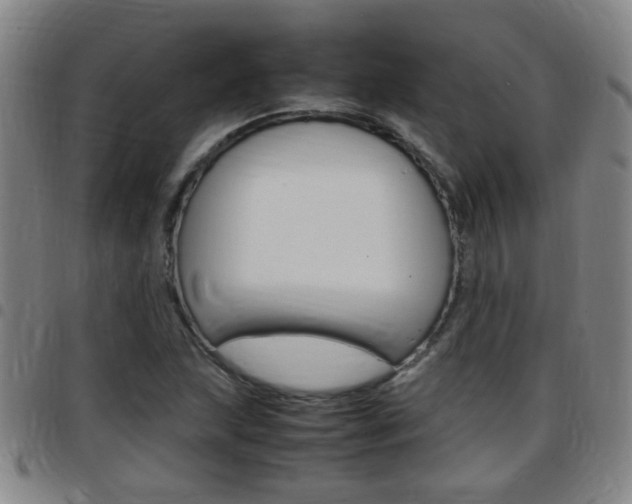X0000097861215200803140849