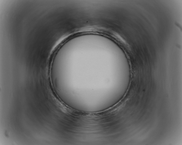 X0000097861216200803140849
