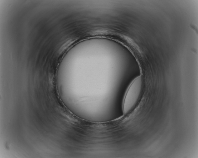 X0000097861217200803140849