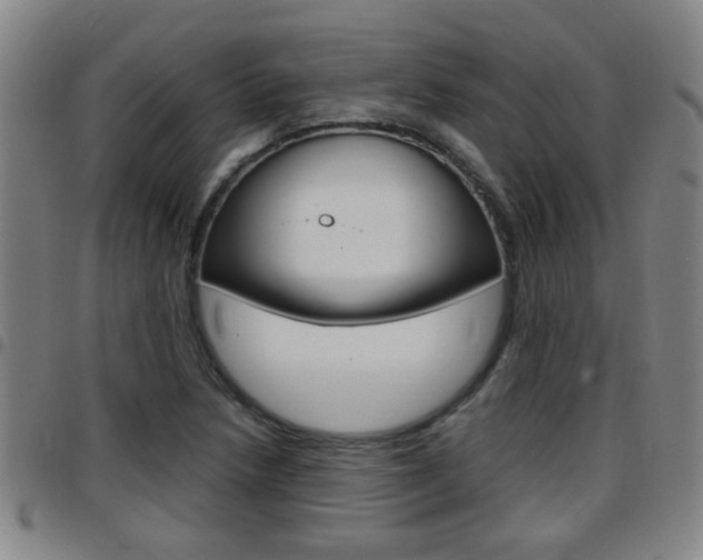 X0000097861218200803140849