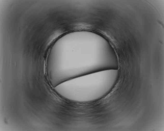 X0000097861219200803140849