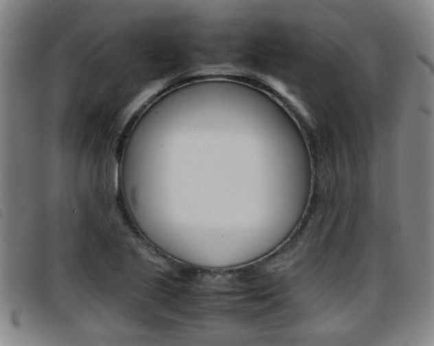 X0000097861221200803140849