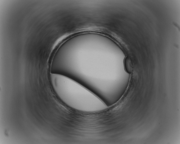 X0000097861222200803140849