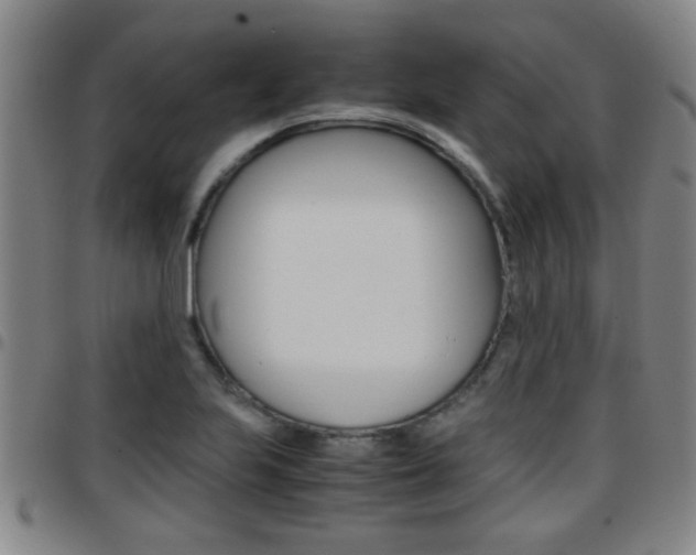 X0000097861223200803140849