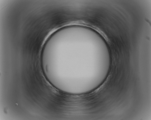 X0000097861224200803140849