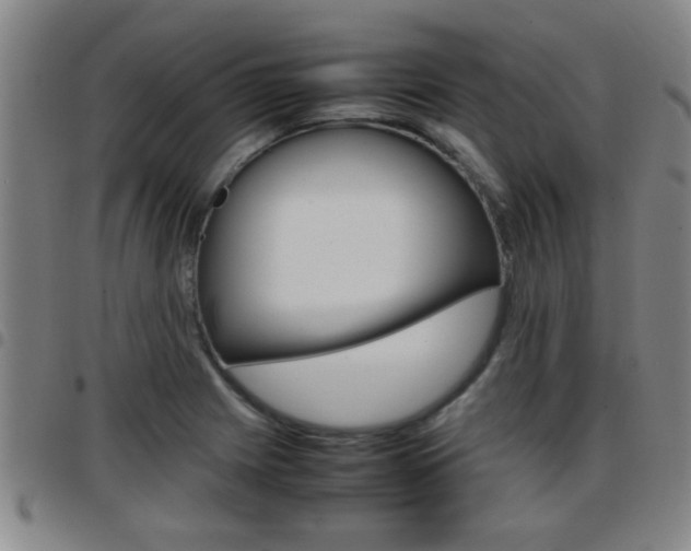 X0000097861225200803140849
