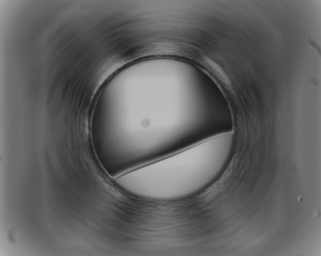 X0000097861226200803140849