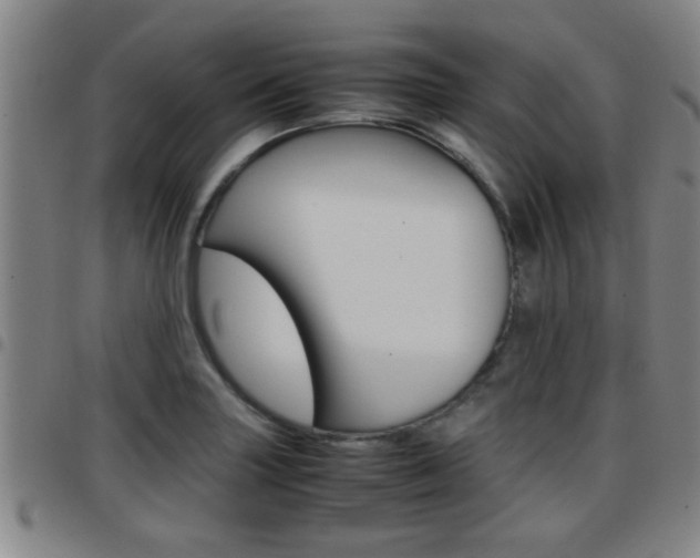 X0000097861227200803140849