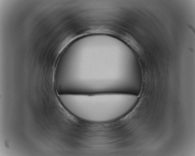 X0000097861228200803140849